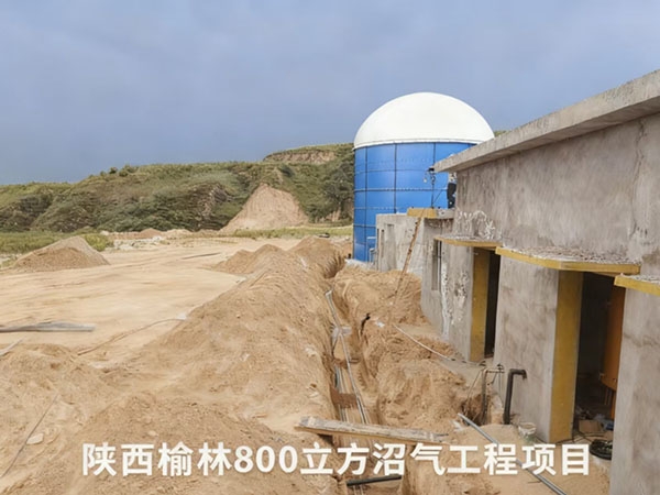 陜西榆林800立方沼氣工程項目
